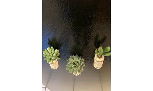 Big image magnet  2  1