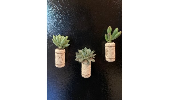 Big image magnet  2  2