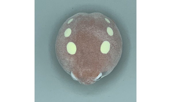 Big image 202208toy001 2   capsule rain frog squeeze toy 1 of 2