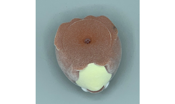 Big image 202208toy001 4   capsule rain frog squeeze toy 1 of 2