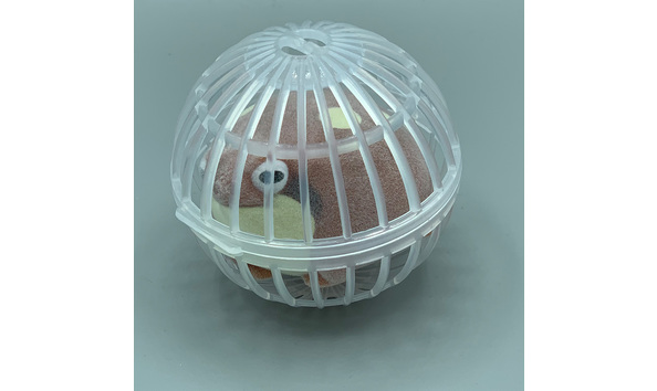 Big image 202208toy001   capsule rain frog squeeze toy 1 of 2