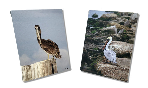 Big image pelican set