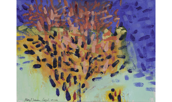 Big image coral scaled