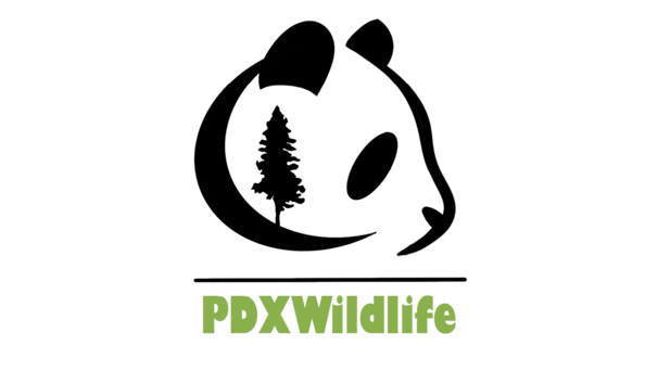 Big image pdxlogo final