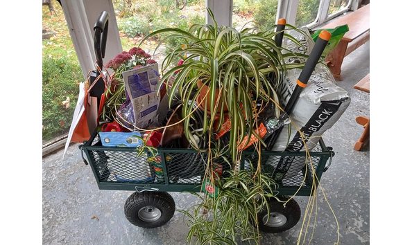 Big image garden cart 1