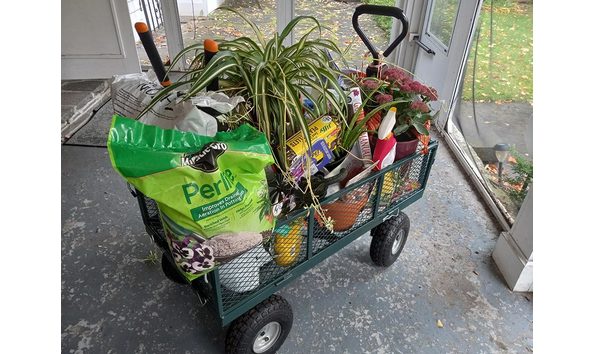 Big image garden cart 2