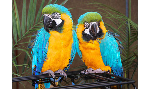 Big image michael gold 2