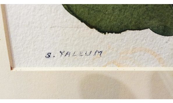 Big image scrappy yallum watercolor 2