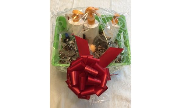 Big image great clips kids