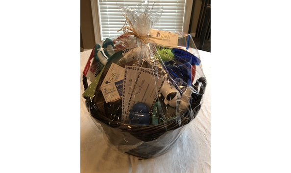 Big image pet pampering basket