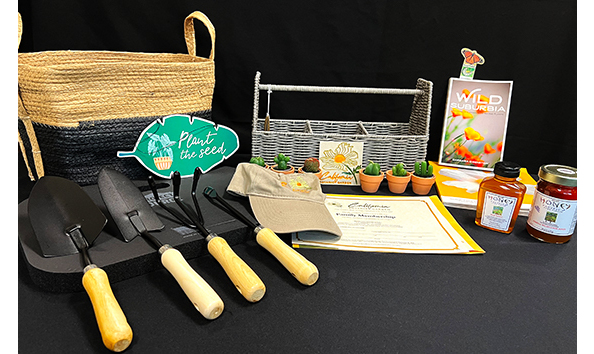 Big image all contents599x354