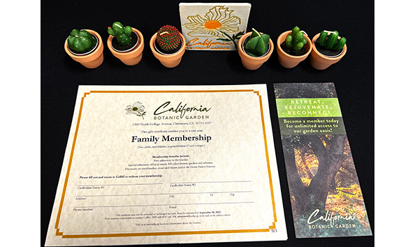 Big image cagarden478x354