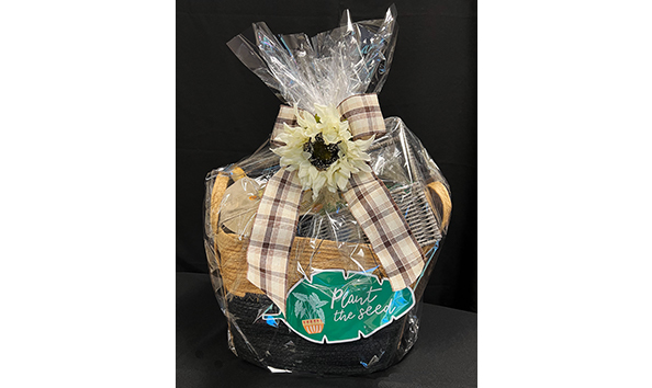 Big image wrapped275x354