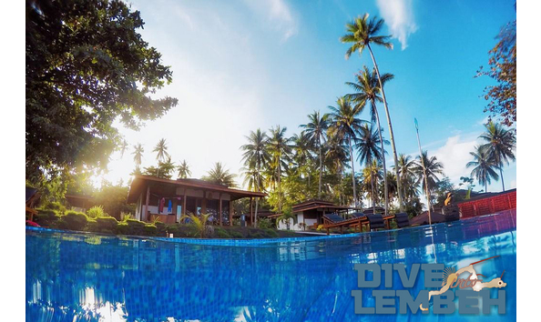 Big image diveintolembehcottages from pool medium