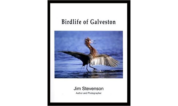 Big image odonell stevenson book 41tsg5ympml. sx390 bo1 204 203 200 