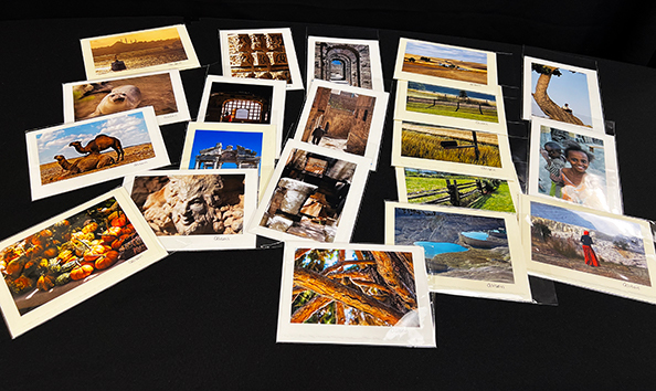 Big image alisoncards549x356