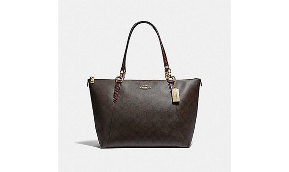 Big image coach bag1