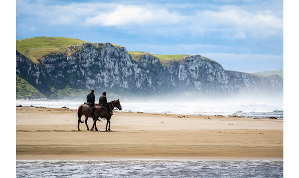 Big image dsc06522 2