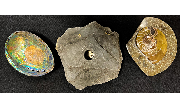 Big image abalone2rocs594x259