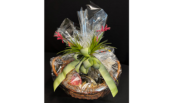 Big image wrapped291x354