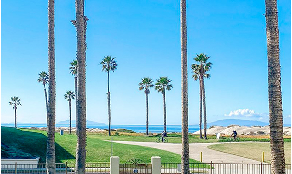 Big image oceanview590x354