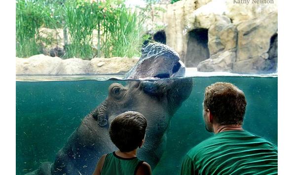 Big image mini magick20221031 20265 1udgnls