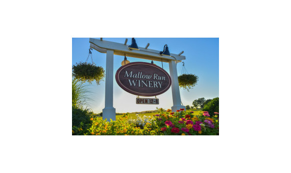 Big image mini magick20221031 20265 kbgth