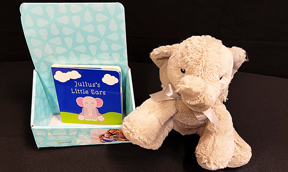 Big image book stuffe594x354