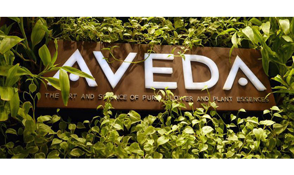 Big image aveda594x287