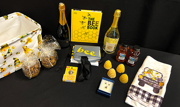 Big image everything594x354