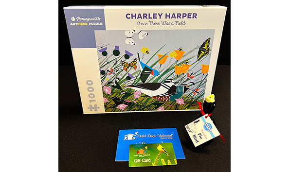 Big image puzzlepiegift354354