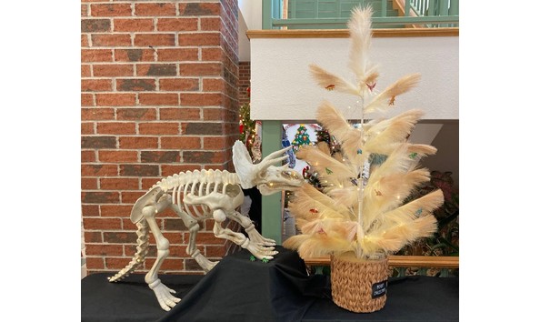 Big image 114 triceratops full