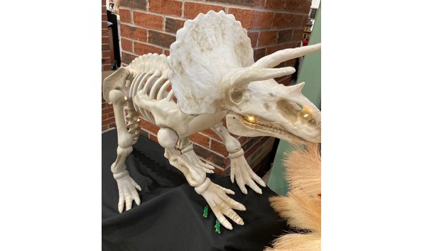 Big image 114 triceratops detail 1