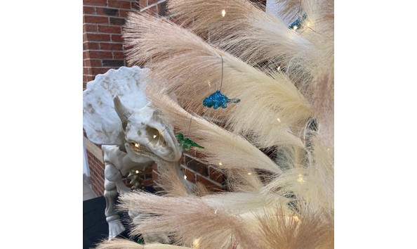 Big image 114 triceratops detail 2