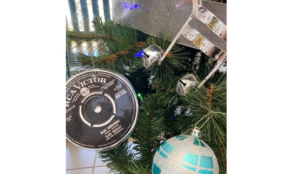 Big image 105 blue blue detail 2