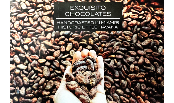 Big image exquisito528x354