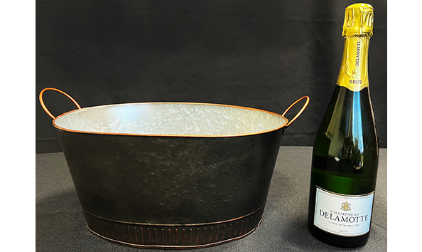 Big image icebucket champ495x354