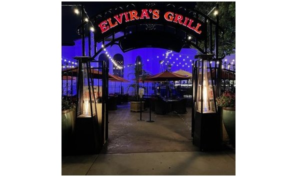 Big image elviras348s