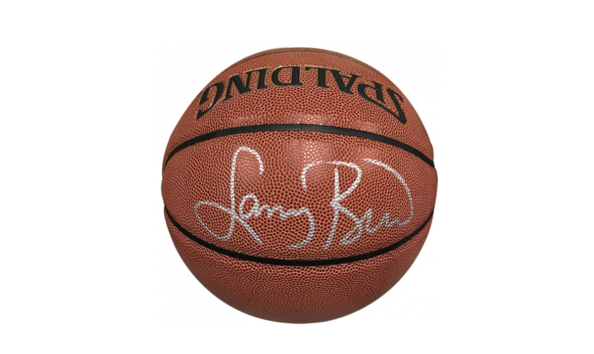 Big image bird basketball