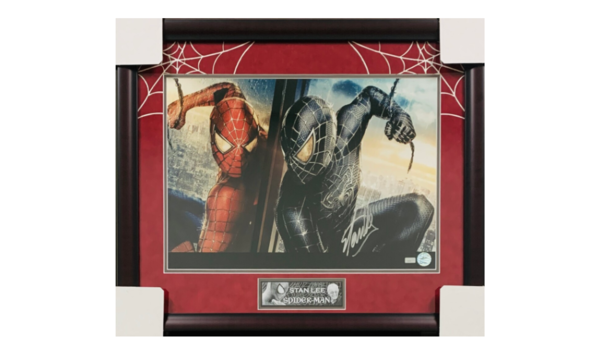 Big image stan lee spiderman