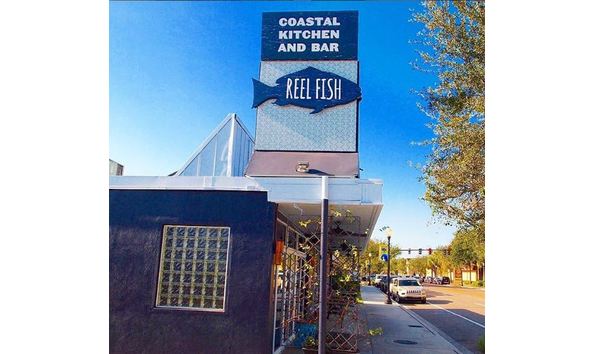 Big image reel fish 1