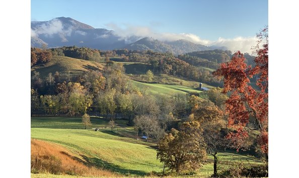 Big image smokymanga4