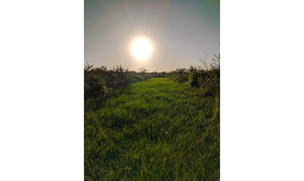 Big image trail img 20191023 174516 3