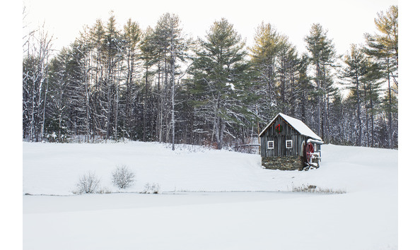 Big image sugar shack mg 9553 light trees copy 2