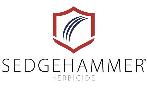 Big image mini magick20221111 32167 5tzluk