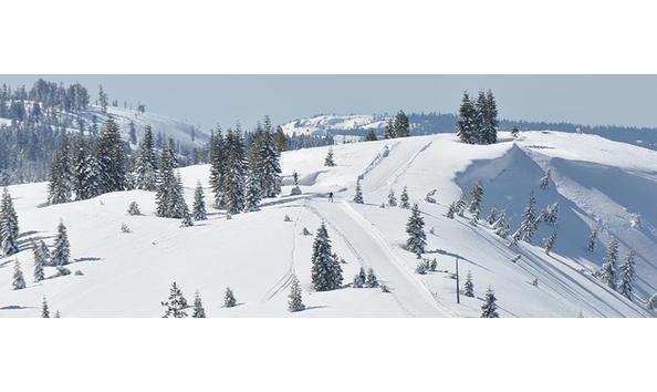 Big image mini magick20171127 34695 icfjap