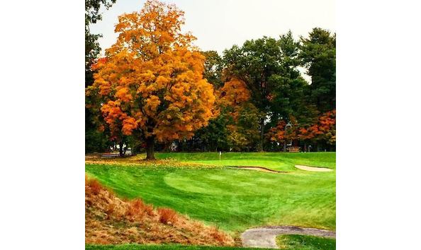 Big image fallatnehoiden