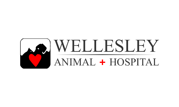 Big image wellesley animal hospital logo