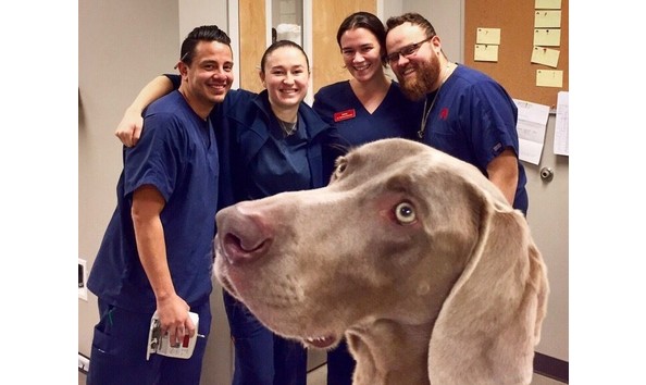 Big image juniper valley   copy