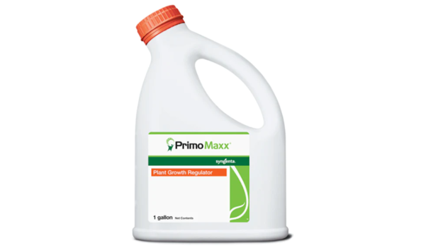 Big image primomaxx image